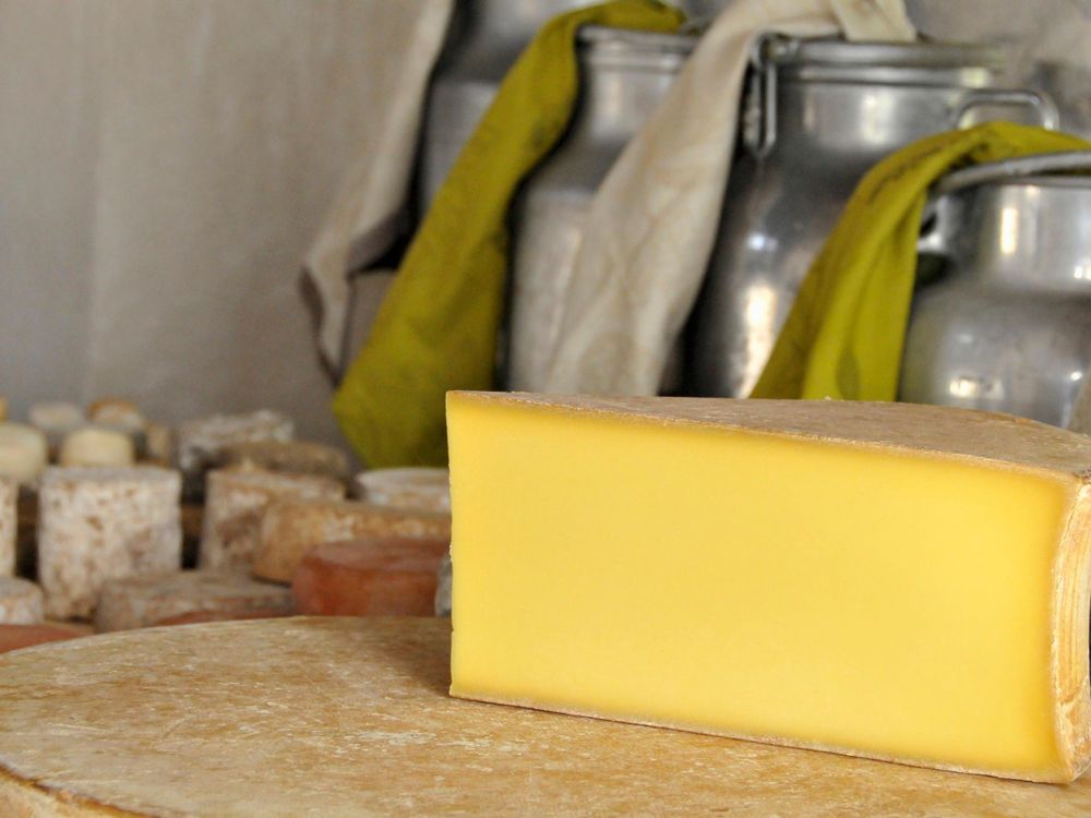 Beaufort cheese