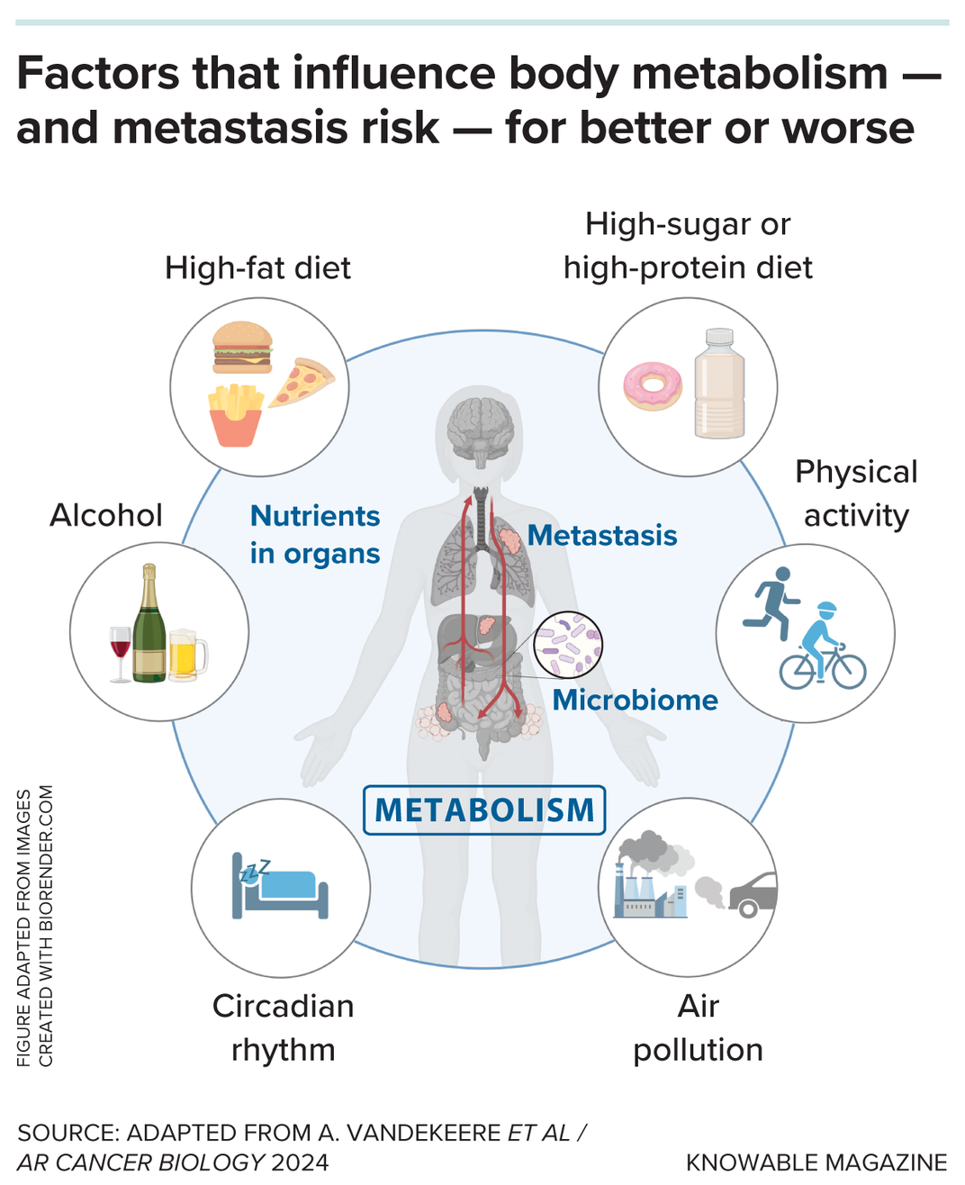 Metastasis Risk Graphic