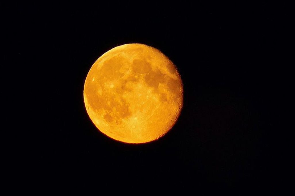 Harvest Moon