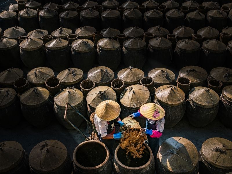 Fish Sauce Making Smithsonian Photo Contest Smithsonian Magazine