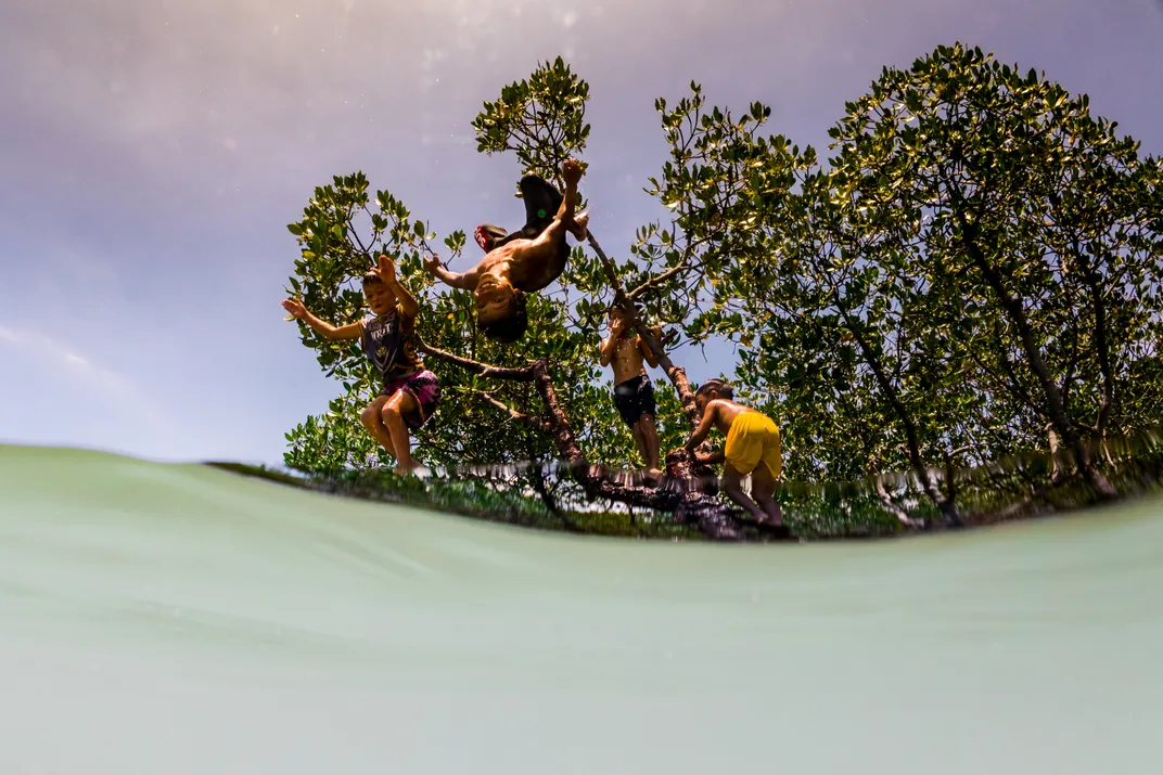 children jump and flip from mangrove trees to land in the water