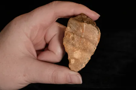 This stone tool found on the Indonesian island of Sulawesi, along with six others, suggest hominins were present on the island and making tools far earlier than thought.