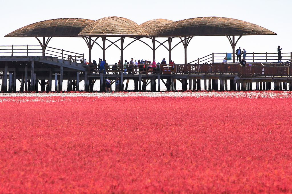 Panjin Red Beach main