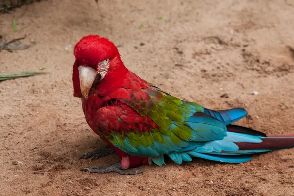 He turned around at smiled thumbnail