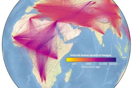 Using human genomes, researchers have developed a massive family tree identifying nearly 27 million ancestors dating back more than 100,000 years ago.&nbsp;