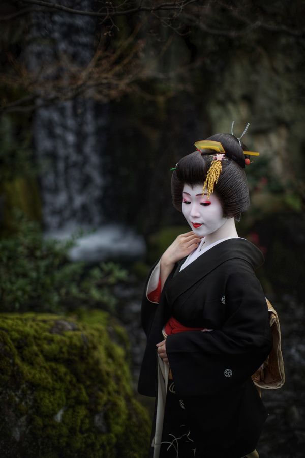 The Geisha at the Waterfall thumbnail