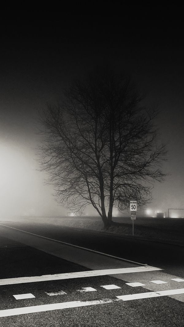 Quiet mind thumbnail