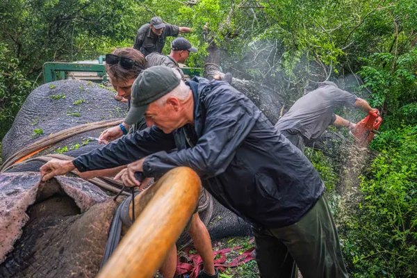 Kester Vickery thumbnail