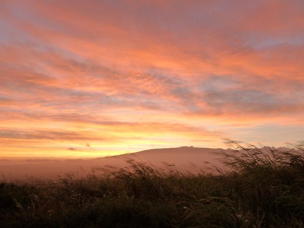 Maui Dawn thumbnail