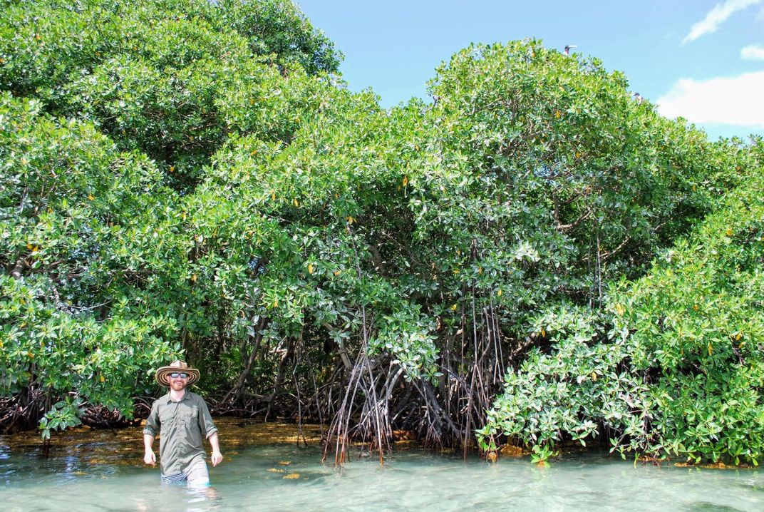 A person in waist-deep water with trees in the background.