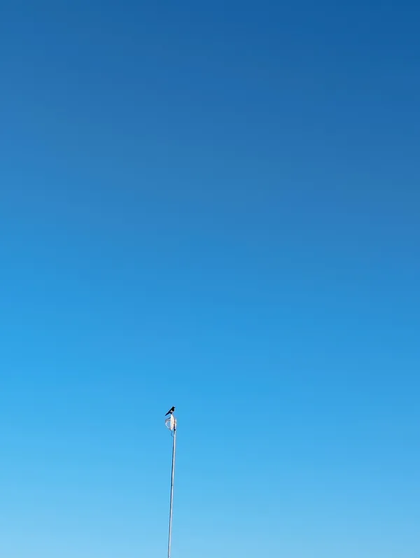 government thumbnail