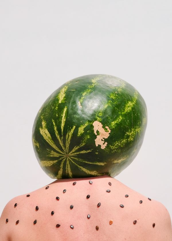 Sprouts Project - Watermelon thumbnail