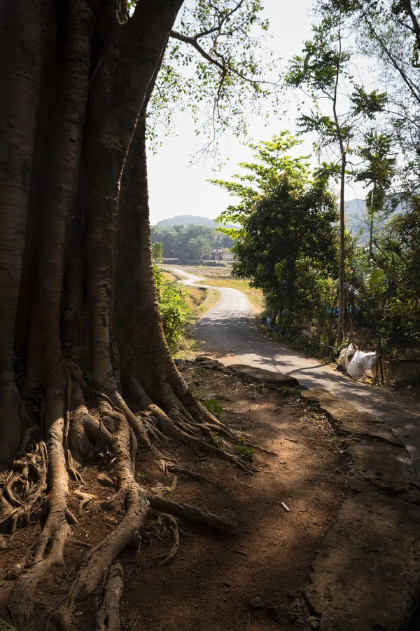 The winding road to the temple thumbnail