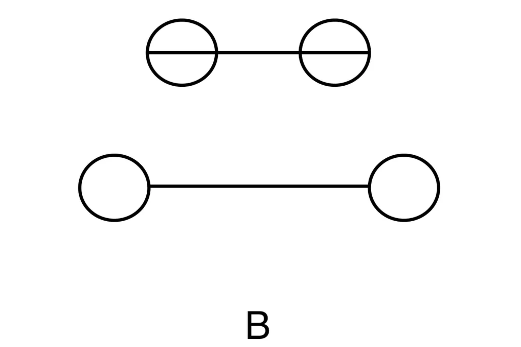 Various iterations of the Müller-Lyer Illusion