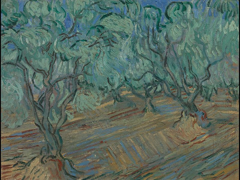 oil painting of an olive grove