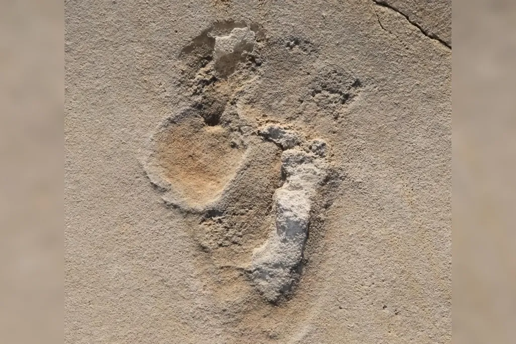 Oldest Footprints