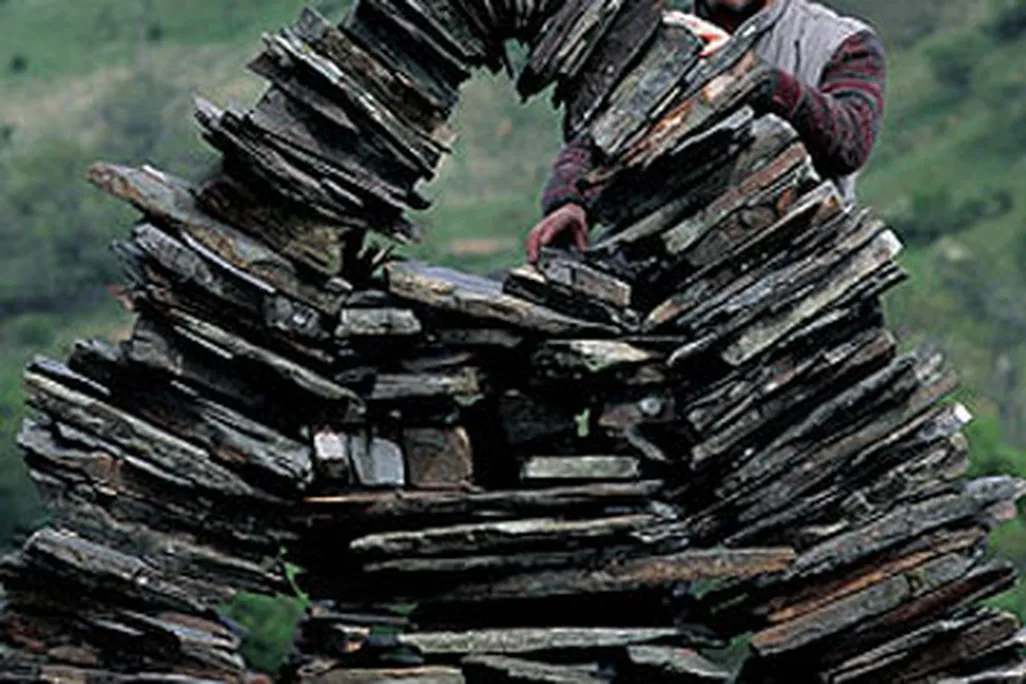 Andy Goldsworthy