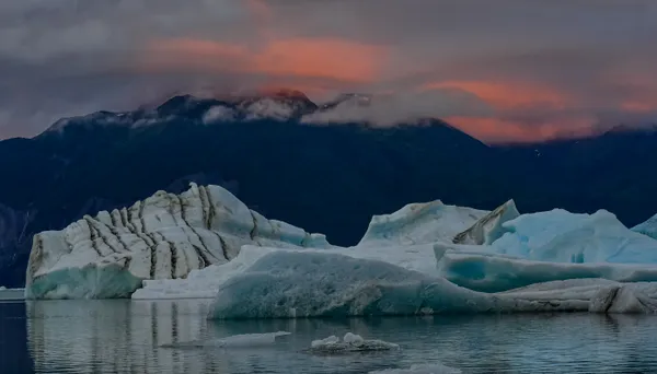 Icebergs from the Alsek and Grand Plateau Glaciers populate Alsek Lake in Glacier Bay National Park, Alaska.populate thumbnail