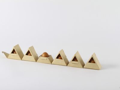 A redesigned egg carton from Gil Rodrigues.