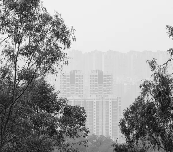 Fading Landscapes of Childhood thumbnail