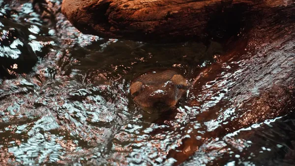 Zoo, should we have them still ? thumbnail