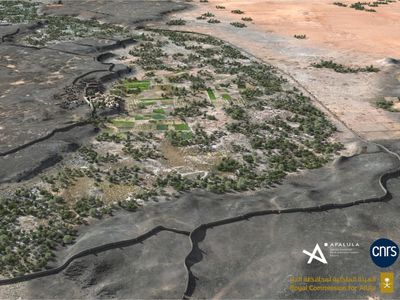 Archaeologists Discover 4,000-Year-Old Wall Built Around Oasis in Saudi Arabia image