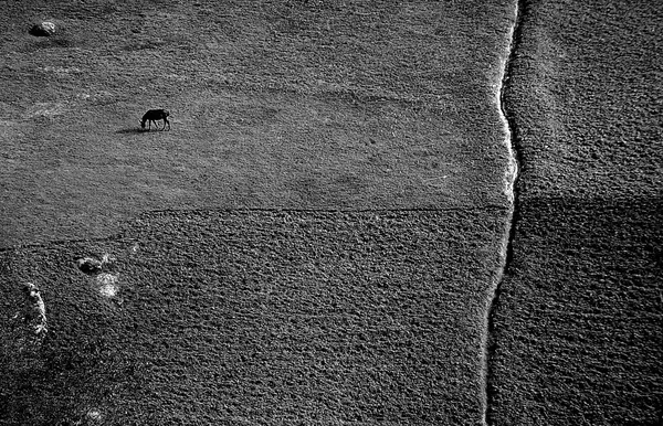 A day in the pastures of the Heyran forests of Ardabil thumbnail