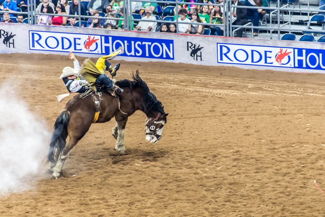 Houston Livestock show and Rodeo Smithsonian Photo Contest