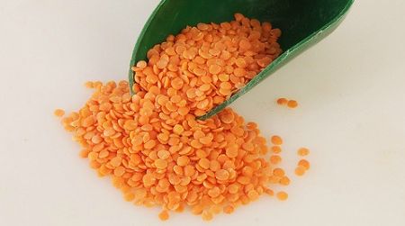 Organic red lentils