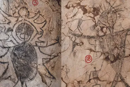 Researchers recently dated these two charcoal-drawn figures on the walls of Gua Sireh.