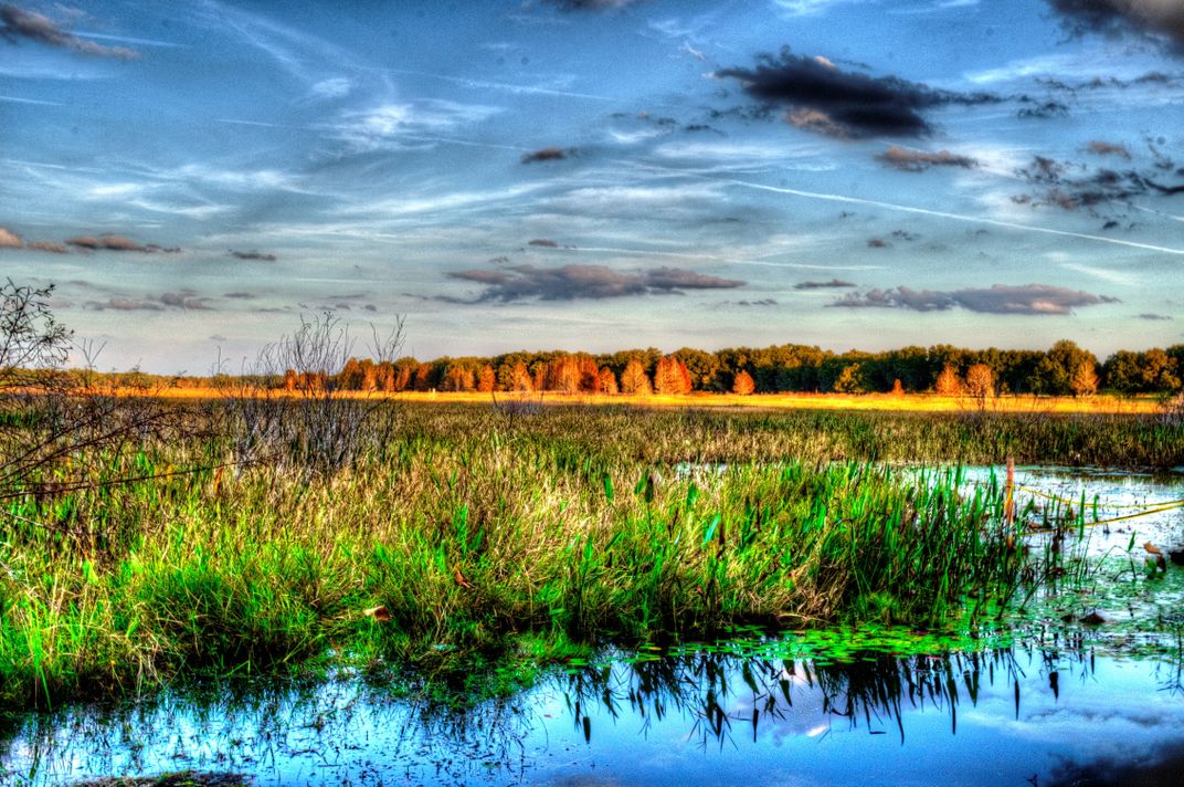 Crews Lake Boat Launch | Smithsonian Photo Contest | Smithsonian Magazine