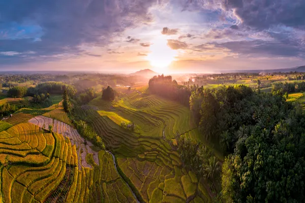 Golden Terraces of Kemumu thumbnail