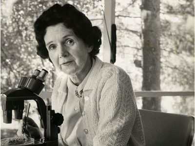 Rachel Carson in 1962.