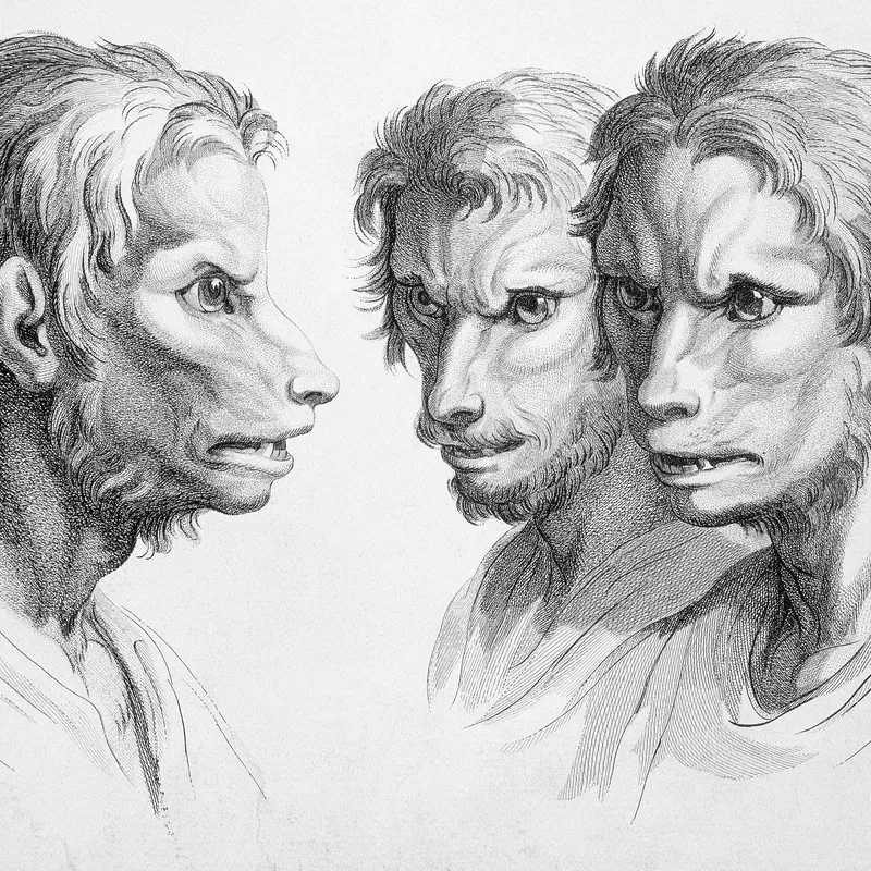 Argentina Has a Superstition That Seventh Sons Will Turn into Werewolves, Smart News
