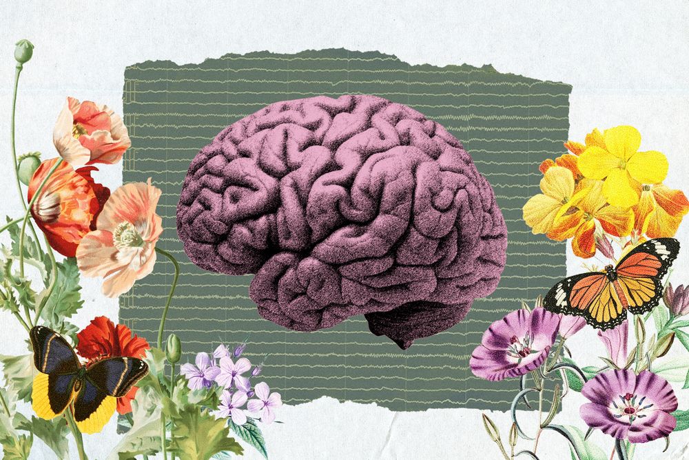 an illustration of a brain with a background of EEG readout and flowers with butterflies on the sides