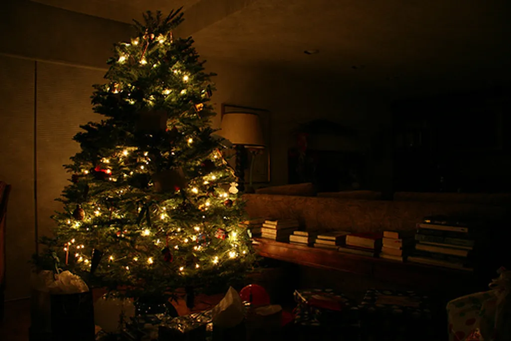 201105201024243158564253_d2279b982f.jpg