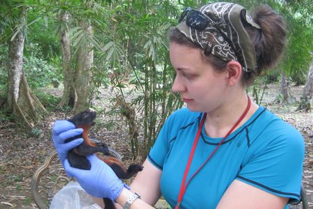 Zoologist Melissa Hawkins holds a squirrel with gloved hands and observes it while in the woods during daylight.