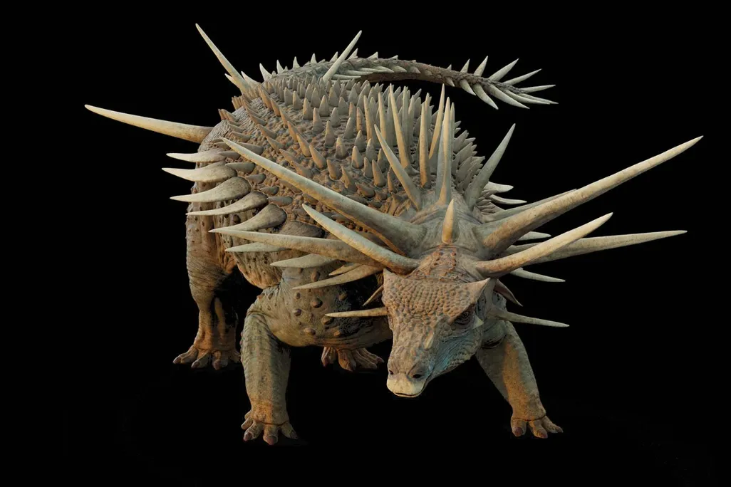 a reconstruction of spicomellus