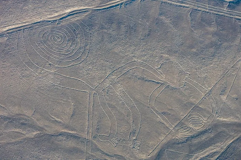 Scientists Identify Exotic Birds Depicted in Peru’s Mysterious Nazca Lines