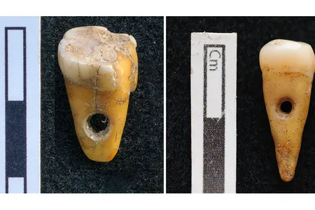 Lead author Scott Haddow says, "Given the small sample size, the ultimate meaning of the human teeth pendants will remain elusive until new findings ... can help us better contextualize [them]."