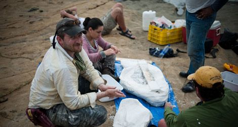 20110712092004nick-pyenson-natural-history-museum.jpg