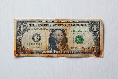 A dollar bill found floating in the basement of the offices of Smack Mellon, a Brooklyn arts organization, after flooding due to Superstorm Sandy. Submitted by Adriane Colburn.