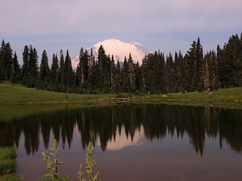 Mount Rainier from Lake Tipsoo | Smithsonian Photo Contest