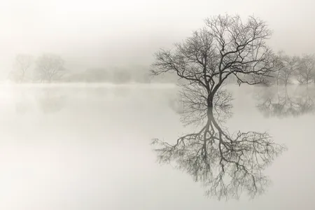 Partially submerged trees are reflected in the waters of a dam lake.