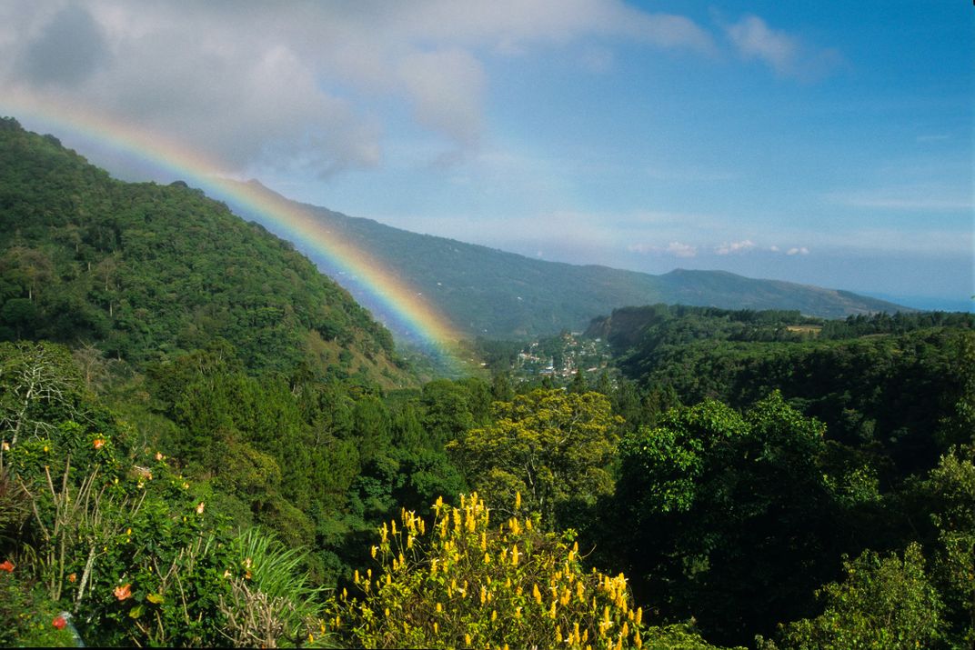 With Smart Planning, Coffee and Bees Can Survive Climate Change 