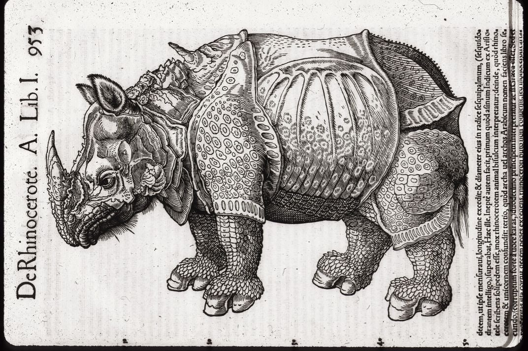 Wood cut illustration of rhinoceros that appears armored.