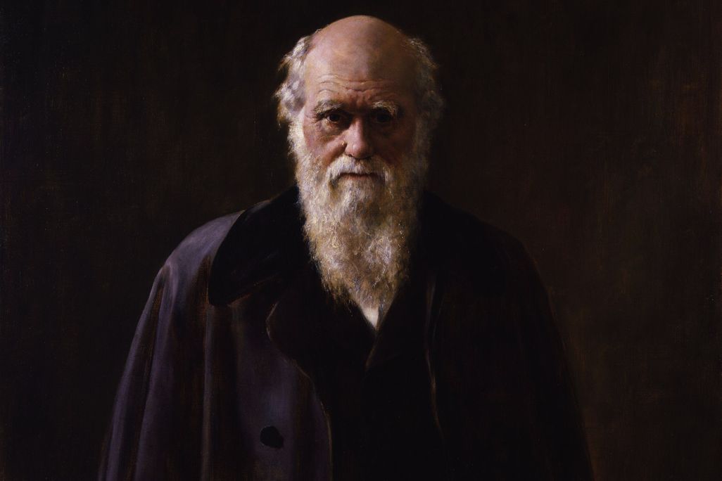 20121022042019darwin.jpg