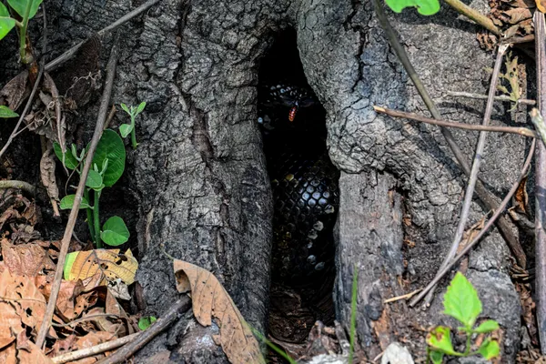 Sleeping Time thumbnail