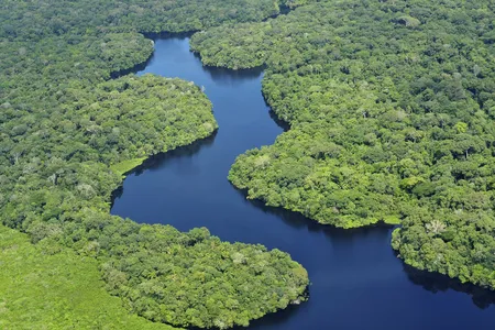 Aerial view of the Amazon Rainforest near Manaus, the capital of the Brazilian state of Amazonas.