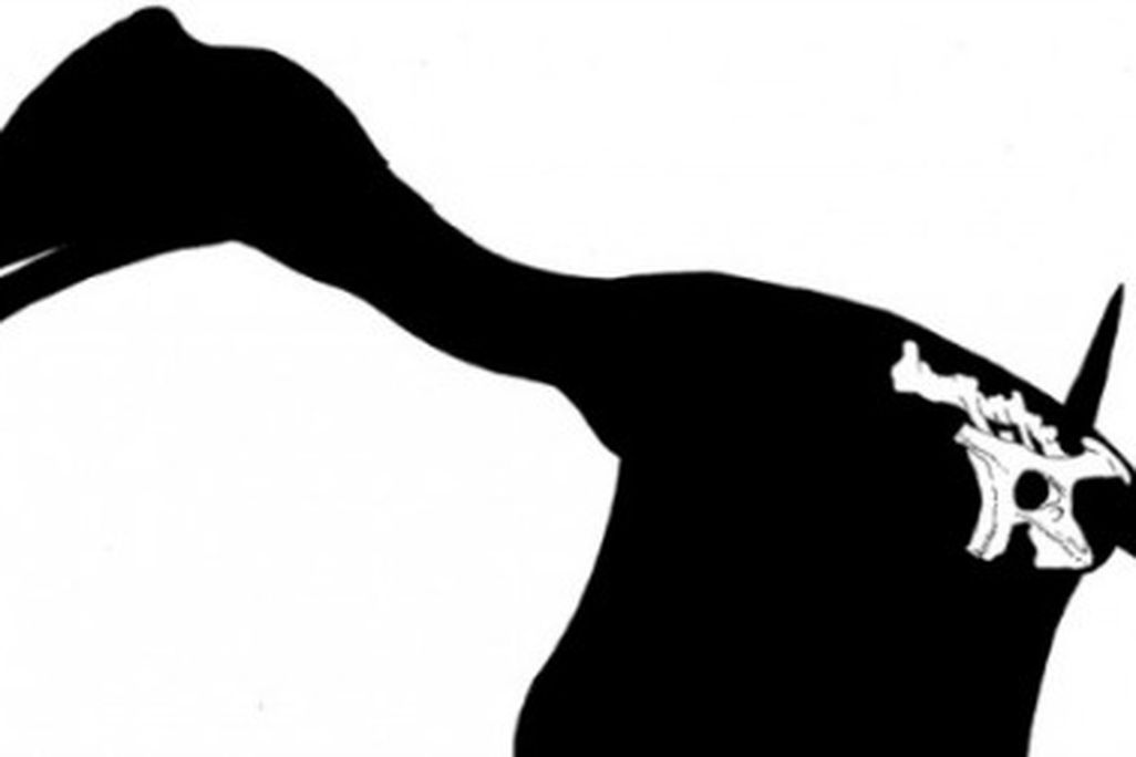 A reconstruction of Daisy Morris’ dinosaur, Vectidraco daisymorrisae